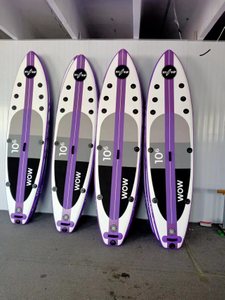 Water Sports Stand Up Surfboard 